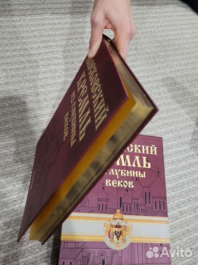 Московский кремль из глубины веков