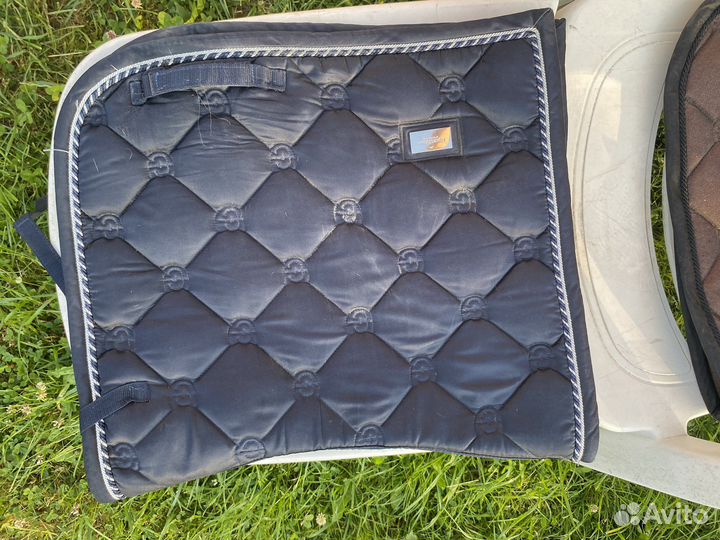 Вальтрап выездковый