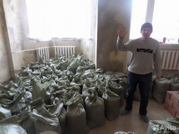 Вынос хлама. Перевозка на свалку