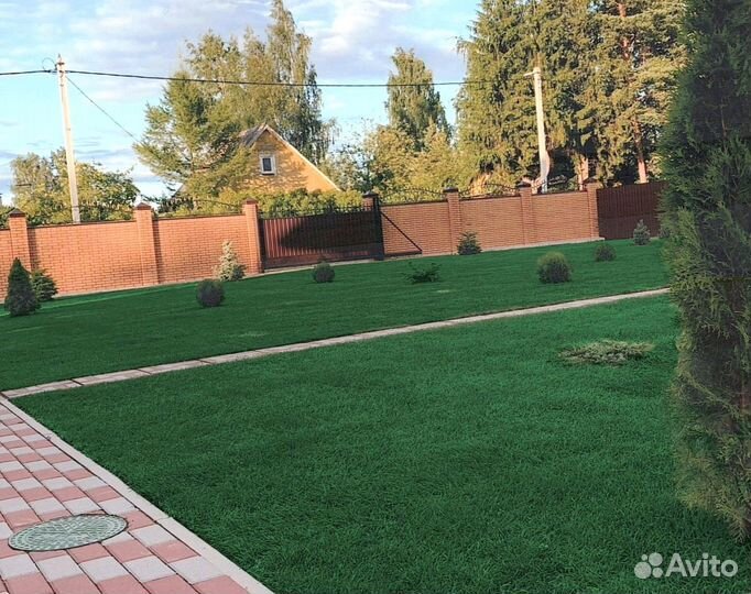 Рулонный газон