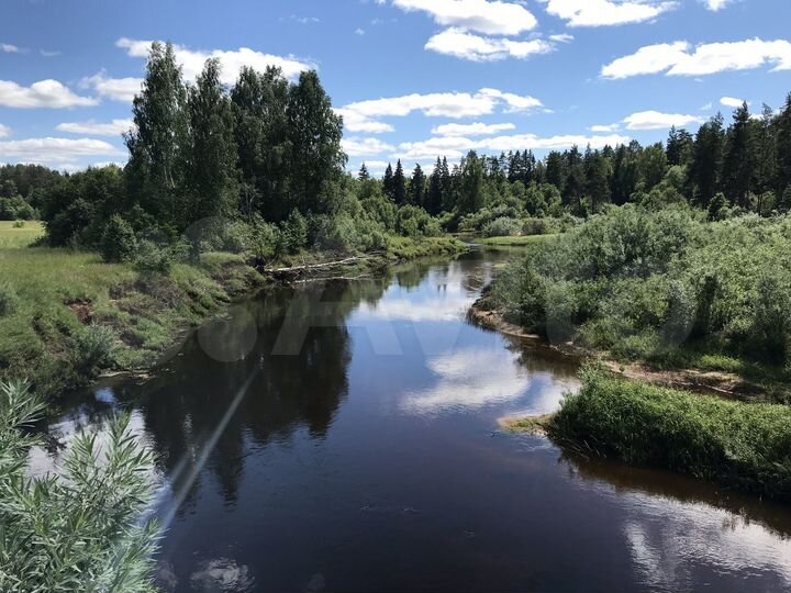 Участок 4,6 га (СНТ, ДНП)