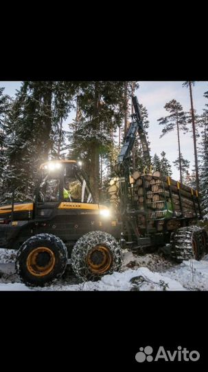 Бригада для отвода лесосек