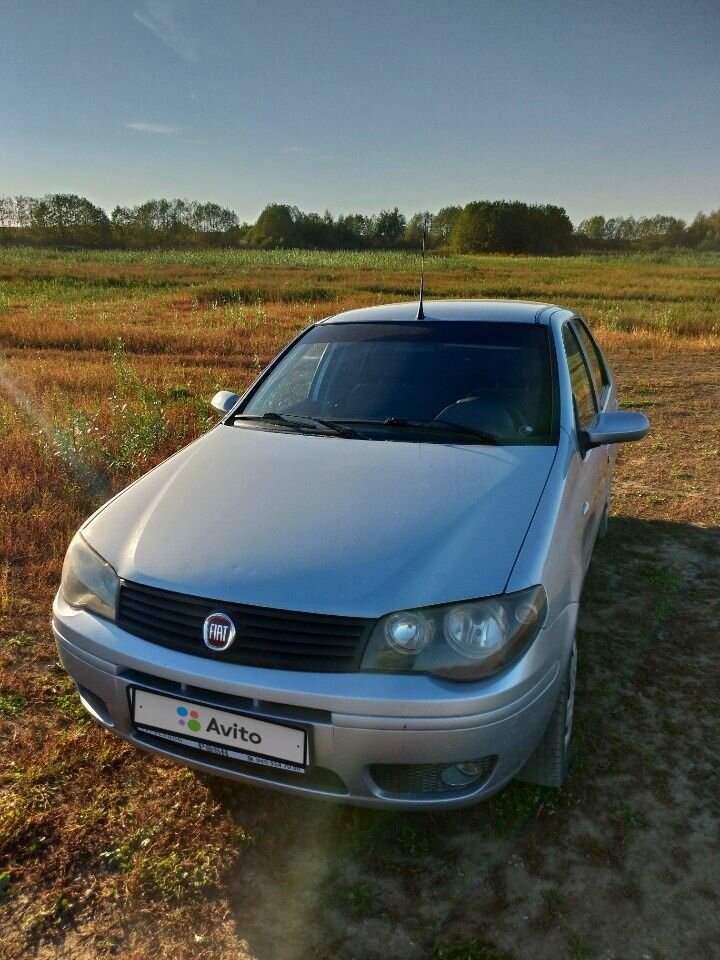 FIAT Albea: фото владельца