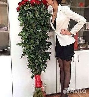 101 роза цветы букеты доставка 25 51 101 роза