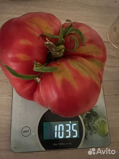 Помидоры домашнии
