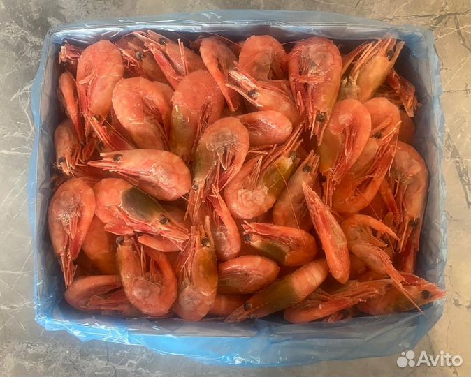Креветки Северные 70 90