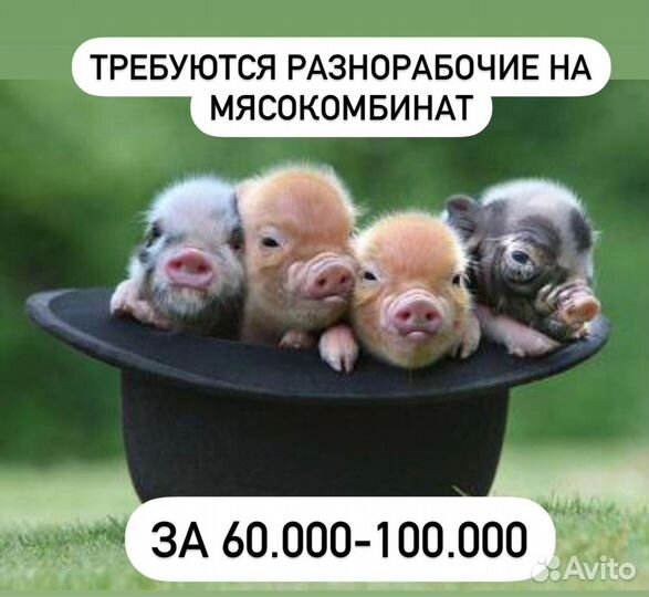 Разнорабочий вахтой в Курганскую область