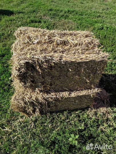 Солома ячменная в тюках