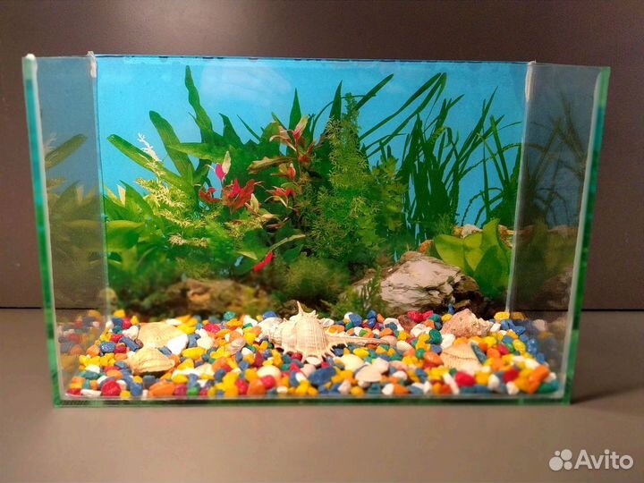 Аквариум новый