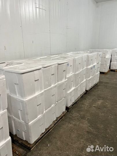 Икра горбуши оптом в самаре