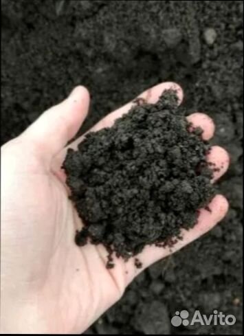 Грунт чернозем