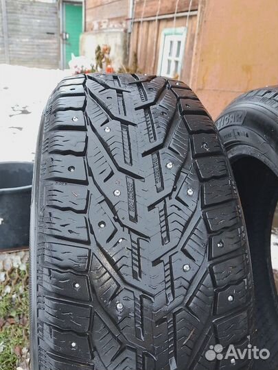 Tigar Ice 205/55 R16