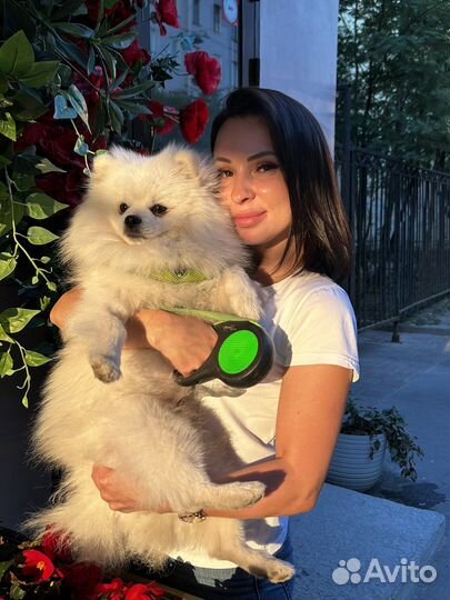 Администратор