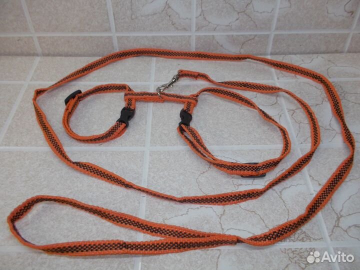 Ошейники, шлейки для собак