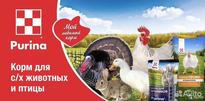 Purina комбикорм и бвмк для с/х животных и птицы