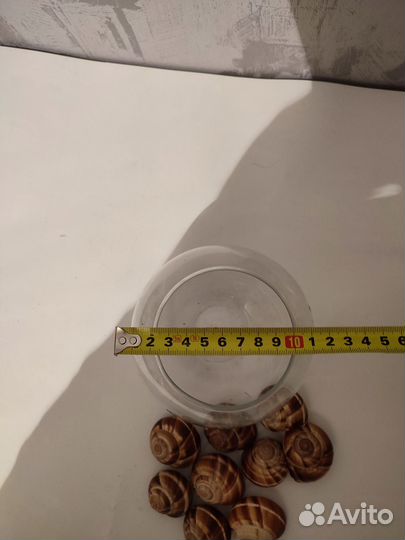 Стеклянная ваза