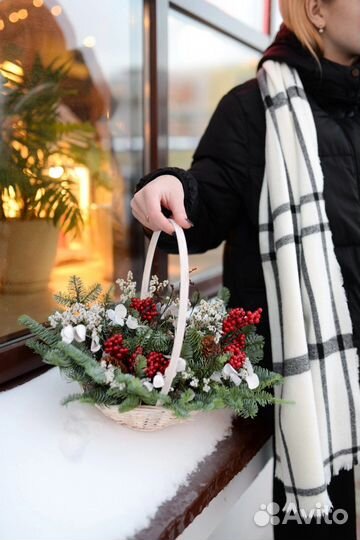 Ель нобилис - живая композиция в подарок