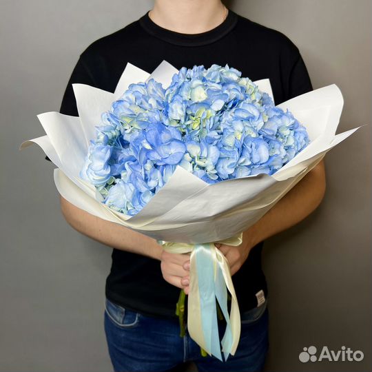 Гортензии изысканные