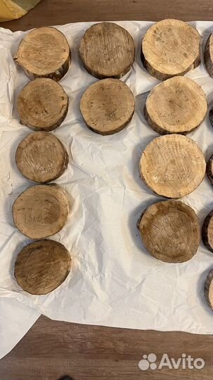 Дубовые спилы