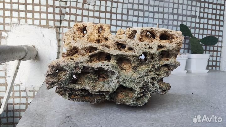 Песчаник камень для аквариума