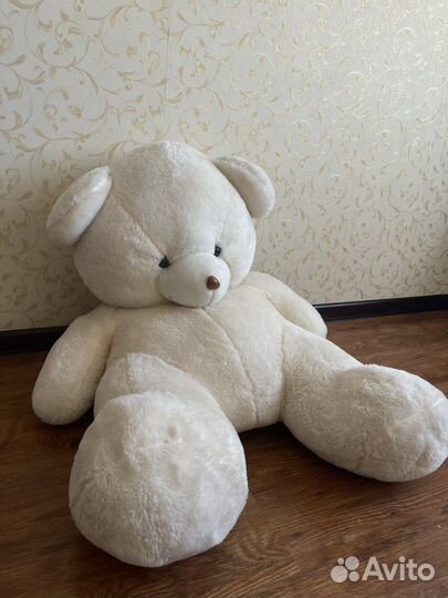 Большие плюшевые медведи