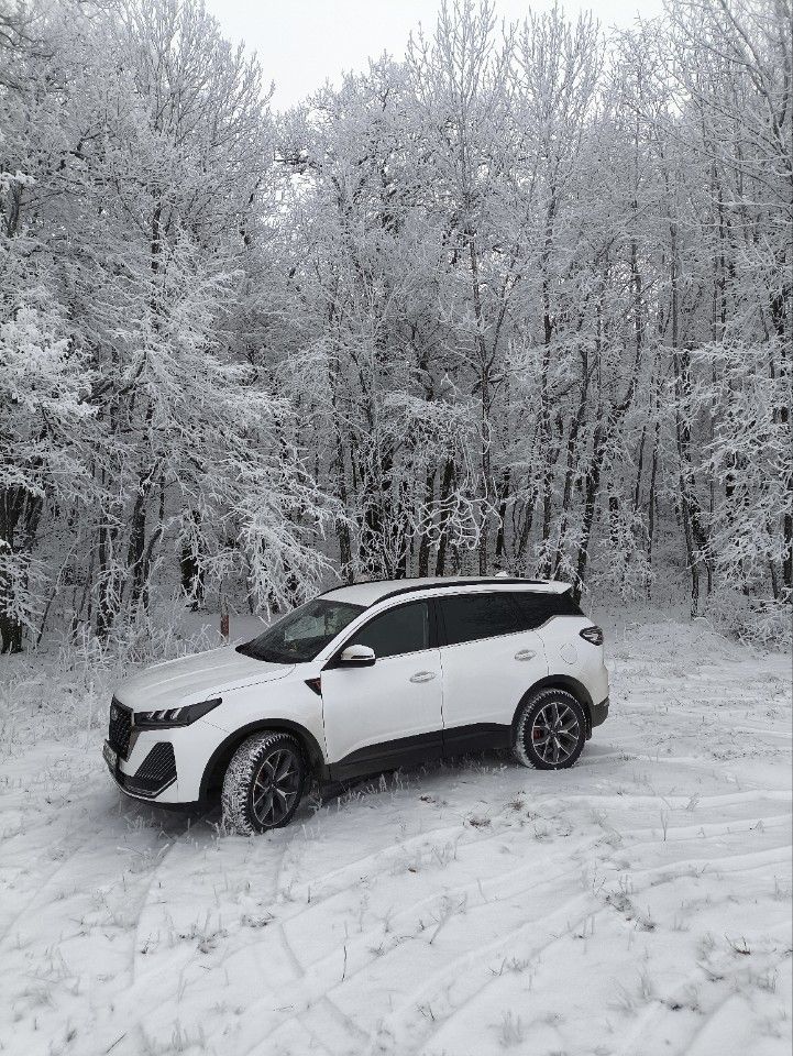 Chery Tiggo 7 Pro Max: фото владельца