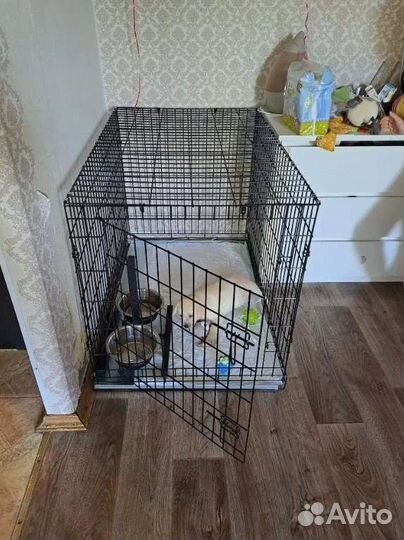 Клетка для собак