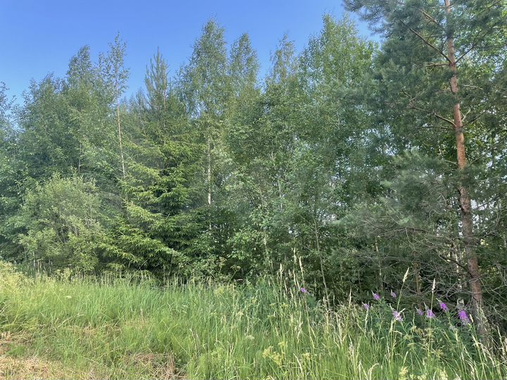 Участок 12 сот. (ИЖС)