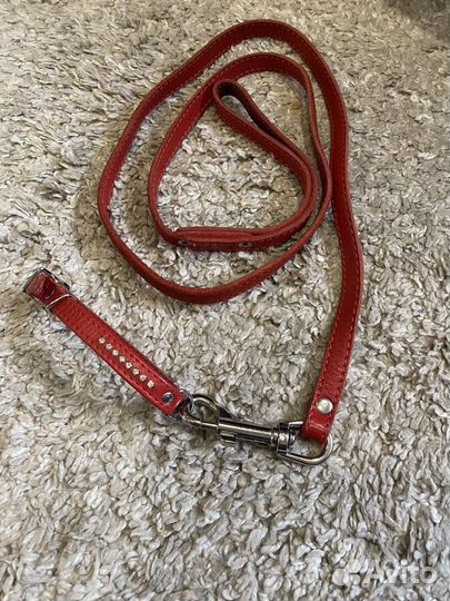 Поводок рулетка для собак flexi