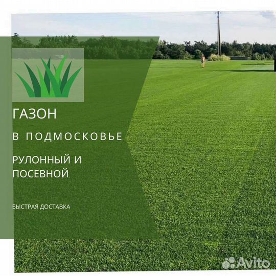 Газон. Рулонный газон