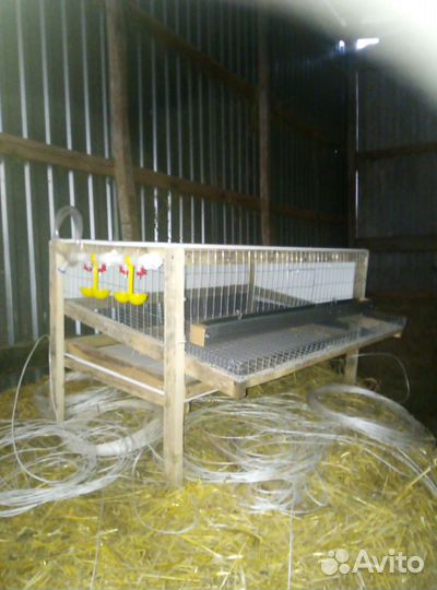Изготовление клеток для перепелов, циплят
