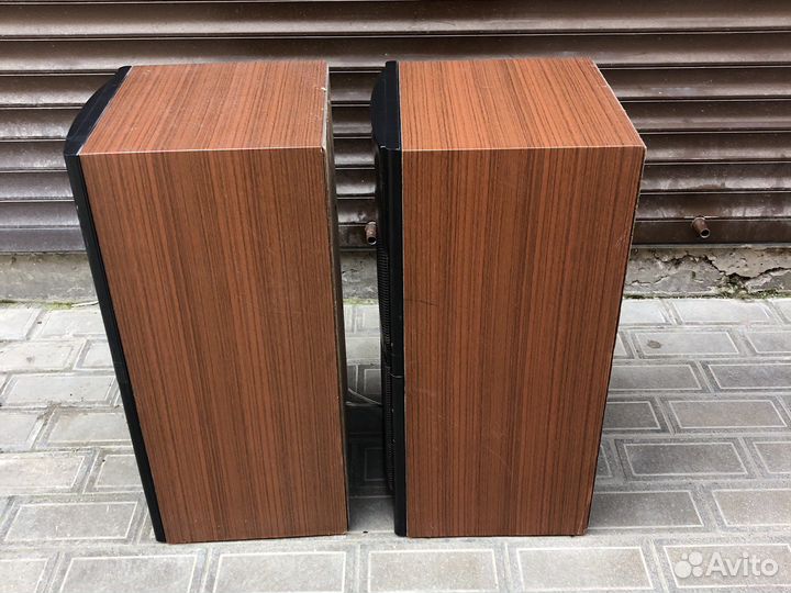 Акустика колонки Вега 50 ас-106