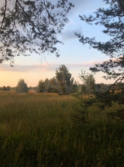 Участок 1,5 га (ИЖС)