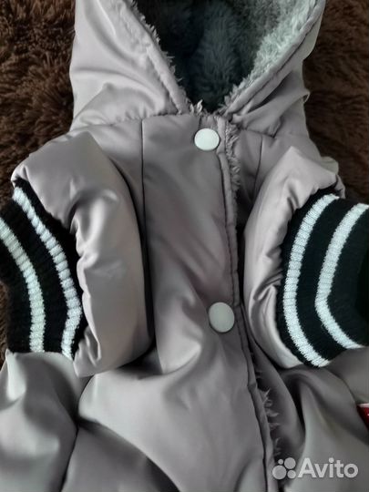 Одежда для собаки