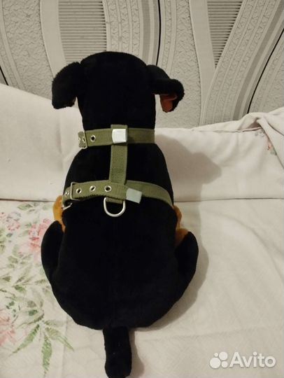 Шлейка для средней собаки