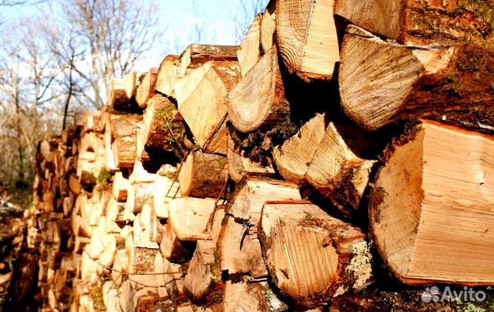 Дрова любые
