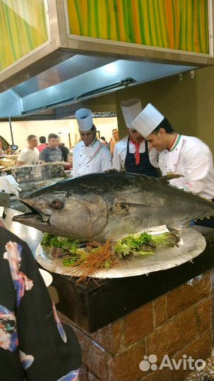 Бронирование отелей и билетов в египет турцию