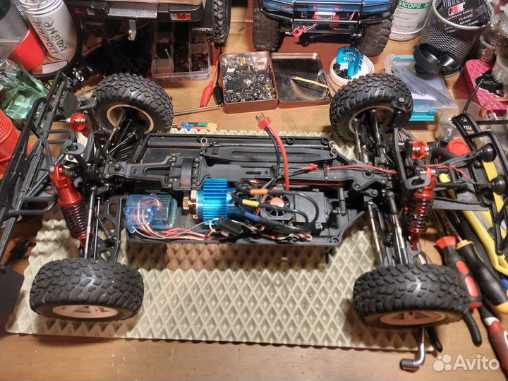 Шорт корс pilotage rc