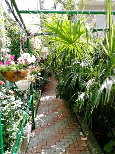 Коттедж 50 м² на участке 1 сот.