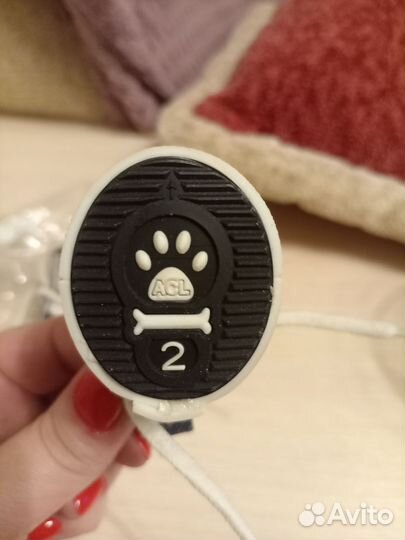 Кеды для собак