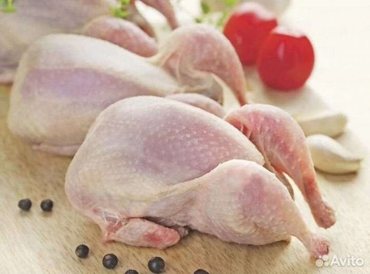 Перепелиное мясо и яйца