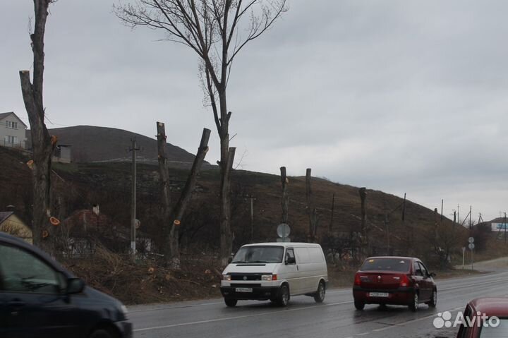 Спил деревьев любой сложности