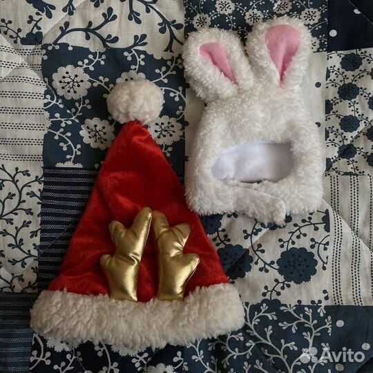 Одежда для животных