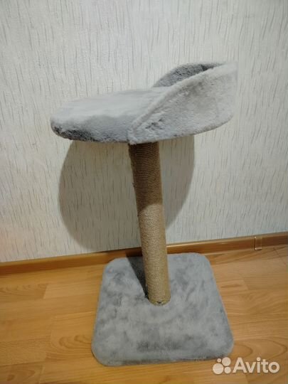 Когтеточка