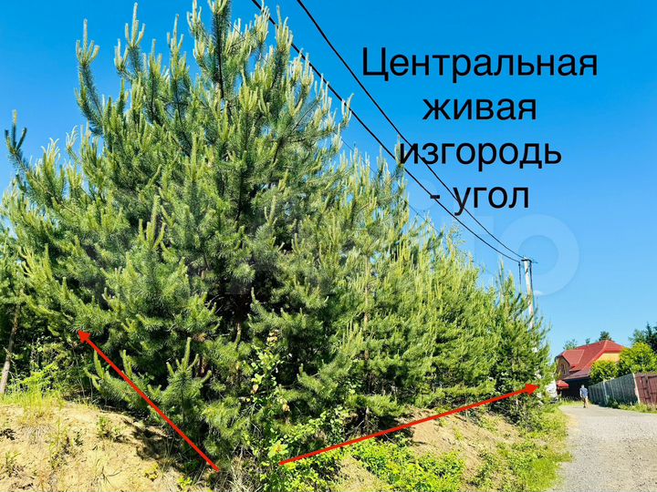 Участок 14 сот. (СНТ, ДНП)