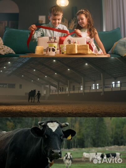 Видеосъемка Монтаж видео