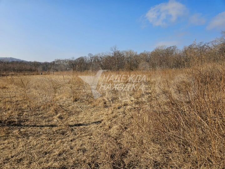 Участок 64,6 сот. (ИЖС)