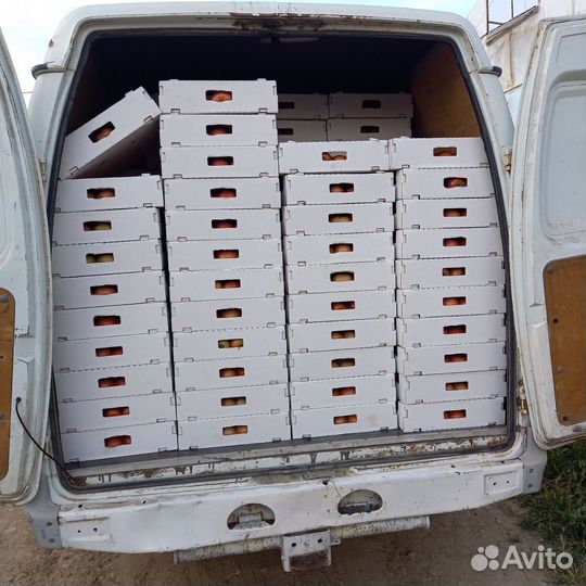 Грузоперевозки межгород