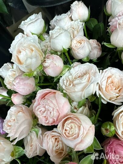 Кустовая роза