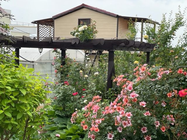 Дом 35 м² на участке 1 сот.